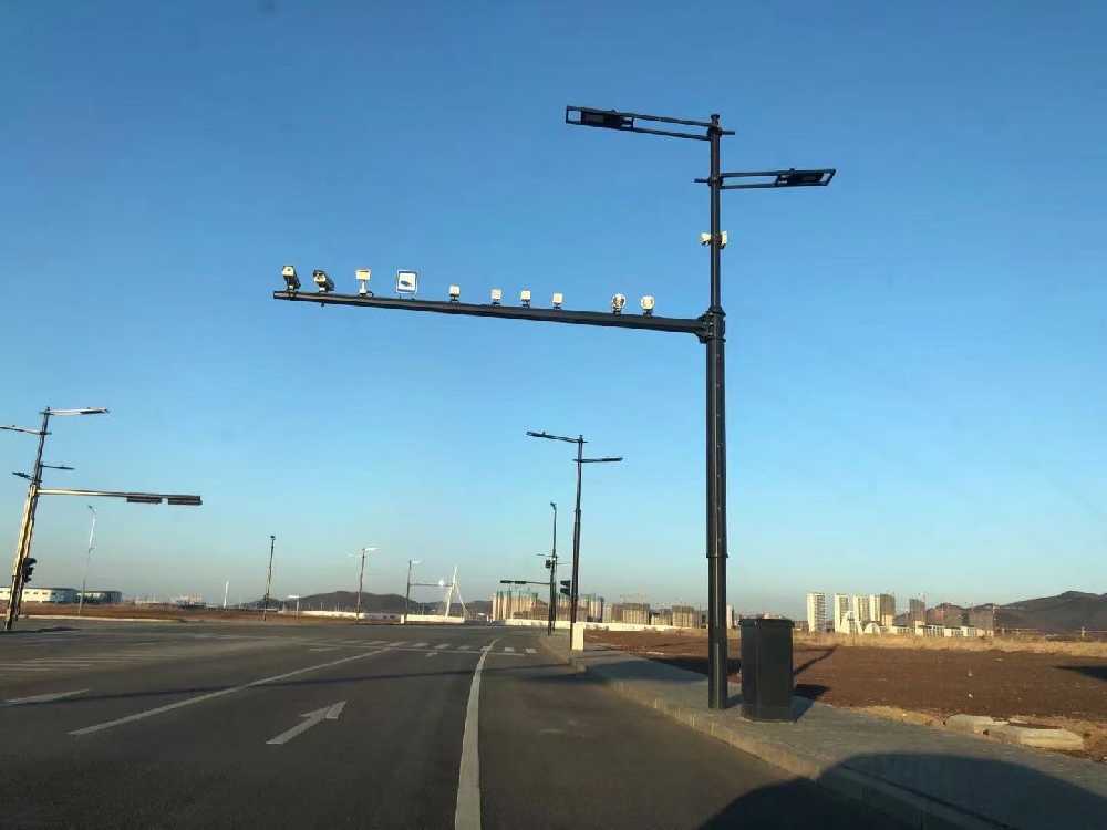 共青城市黑龙江佳木斯综合路灯杆项目