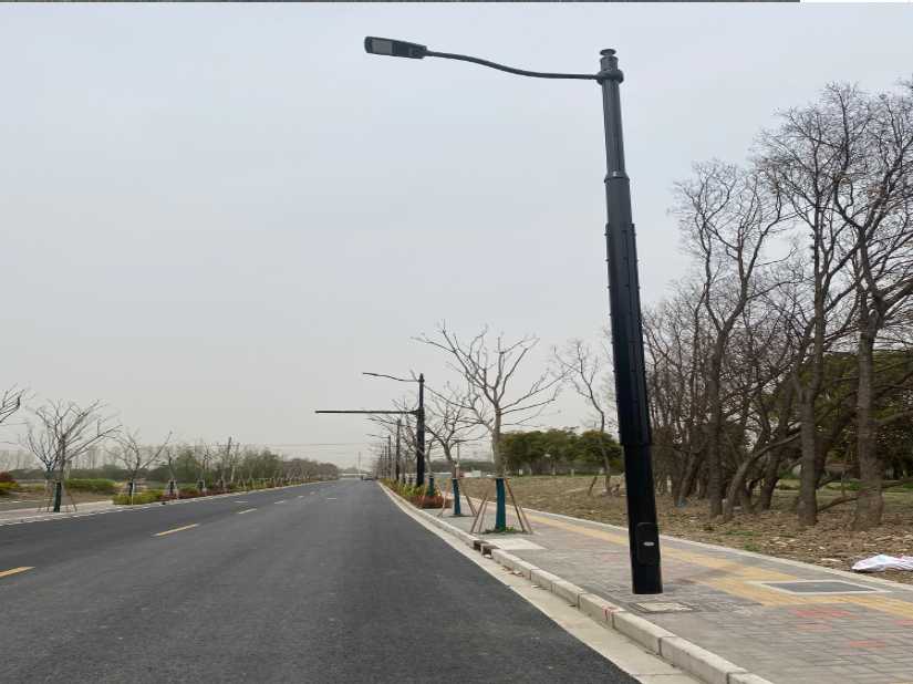 共青城市上海综合杆 太阳能路灯工程